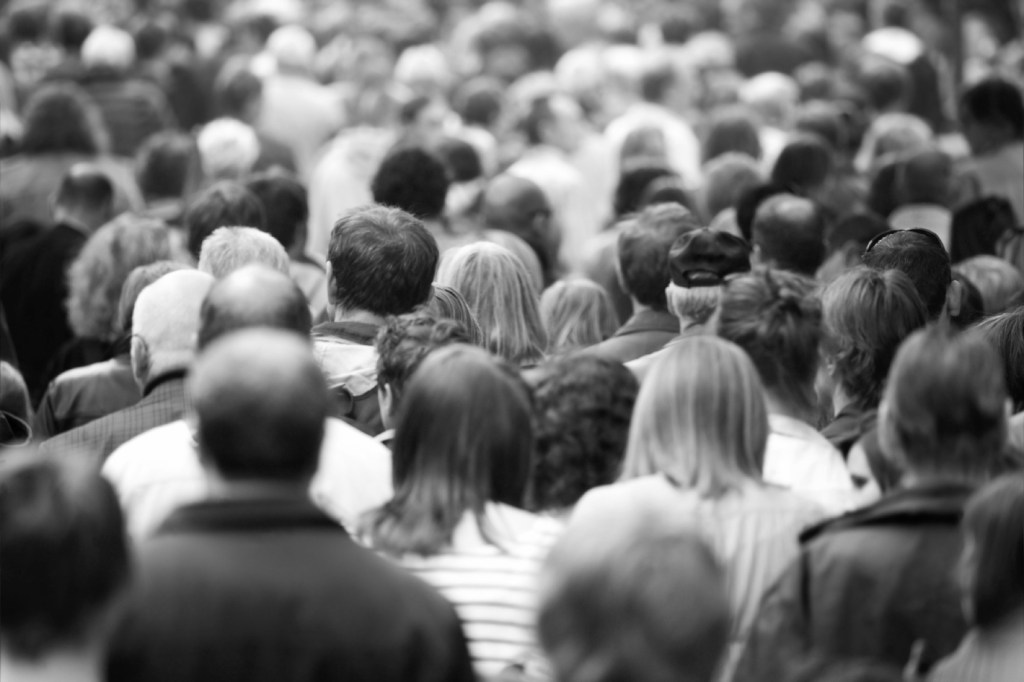 2025-2026 – TC1 – Introduction à la Psychologie&nbsp;Sociale